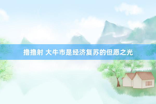 撸撸射 大牛市是经济复苏的但愿之光
