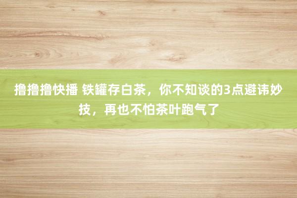 撸撸撸快播 铁罐存白茶，你不知谈的3点避讳妙技，再也不怕茶叶跑气了