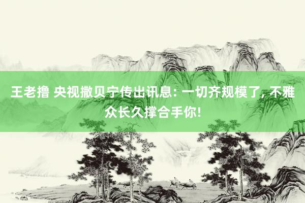 王老撸 央视撒贝宁传出讯息: 一切齐规模了， 不雅众长久撑合手你!