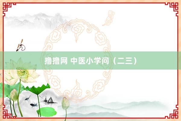 撸撸网 中医小学问（二三）
