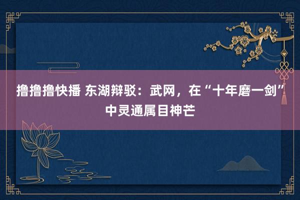 撸撸撸快播 东湖辩驳：武网，在“十年磨一剑”中灵通属目神芒