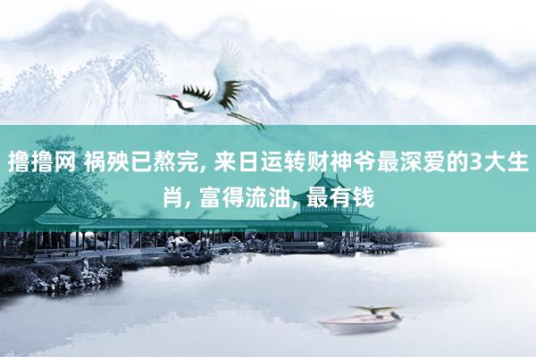 撸撸网 祸殃已熬完， 来日运转财神爷最深爱的3大生肖， 富得流油， 最有钱