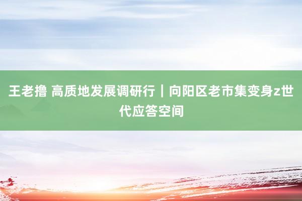 王老撸 高质地发展调研行｜向阳区老市集变身z世代应答空间