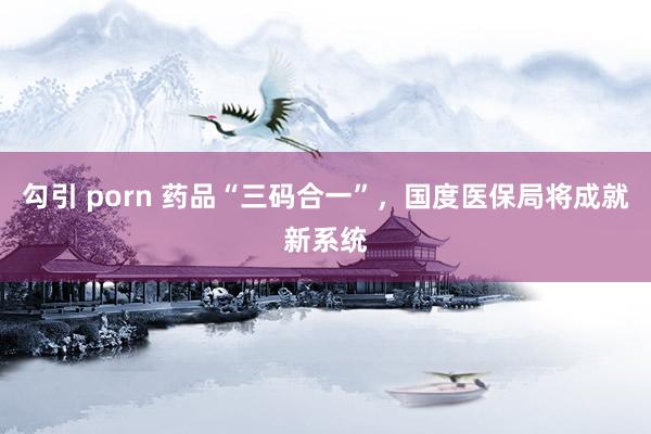 勾引 porn 药品“三码合一”，国度医保局将成就新系统