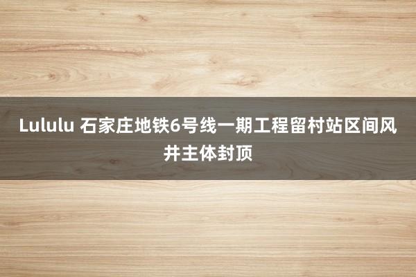 Lululu 石家庄地铁6号线一期工程留村站区间风井主体封顶