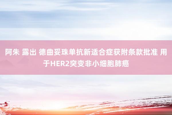 阿朱 露出 德曲妥珠单抗新适合症获附条款批准 用于HER2突变非小细胞肺癌