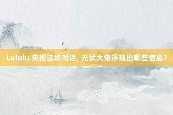 Lululu 央视这场对话， 光伏大佬浮现出哪些信息?
