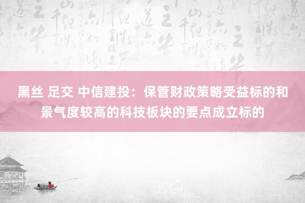 黑丝 足交 中信建投：保管财政策略受益标的和景气度较高的科技板块的要点成立标的