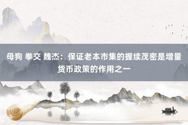 母狗 拳交 魏杰：保证老本市集的握续茂密是增量货币政策的作用之一