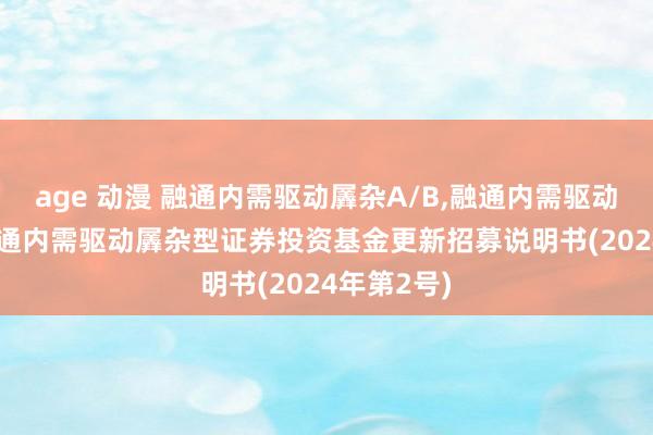 age 动漫 融通内需驱动羼杂A/B,融通内需驱动羼杂C: 融通内需驱动羼杂型证券投资基金更新招募说明书(2024年第2号)