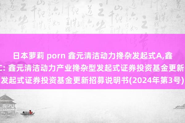 日本萝莉 porn 鑫元清洁动力搀杂发起式A,鑫元清洁动力搀杂发起式C: 鑫元清洁动力产业搀杂型发起式证券投资基金更新招募说明书(2024年第3号)