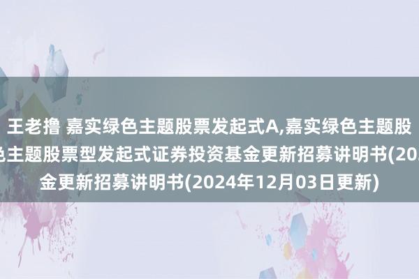 王老撸 嘉实绿色主题股票发起式A,嘉实绿色主题股票发起式C: 嘉实绿色主题股票型发起式证券投资基金更新招募讲明书(2024年12月03日更新)