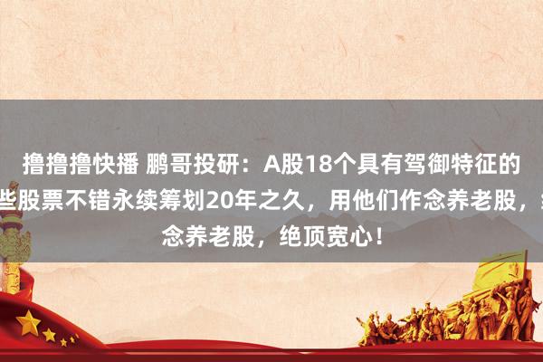 撸撸撸快播 鹏哥投研:A股18个具有驾御特征的股票,这些股票不错永续筹划20年之久,用他们作念养老股,绝顶宽心!