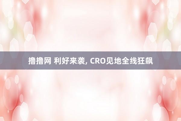 撸撸网 利好来袭， CRO见地全线狂飙