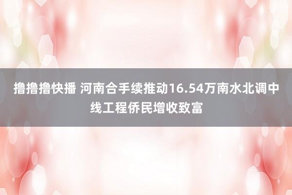 撸撸撸快播 河南合手续推动16.54万南水北调中线工程侨民增收致富