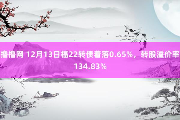 撸撸网 12月13日福22转债着落0.65%，转股溢价率134.83%