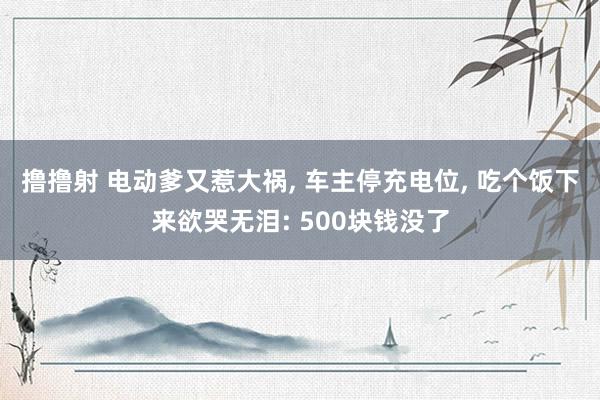 撸撸射 电动爹又惹大祸， 车主停充电位， 吃个饭下来欲哭无泪: 500块钱没了