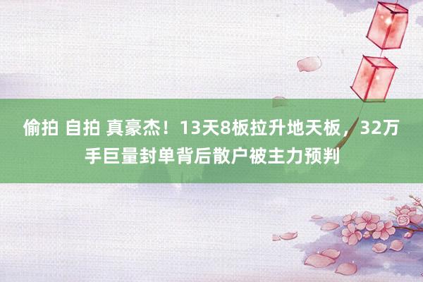 偷拍 自拍 真豪杰！13天8板拉升地天板，32万手巨量封单背后散户被主力预判