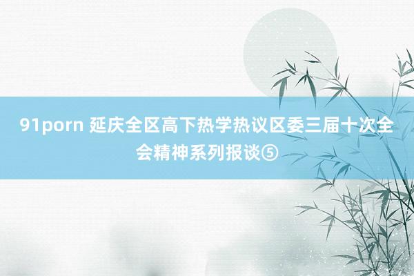 91porn 延庆全区高下热学热议区委三届十次全会精神系列报谈⑤