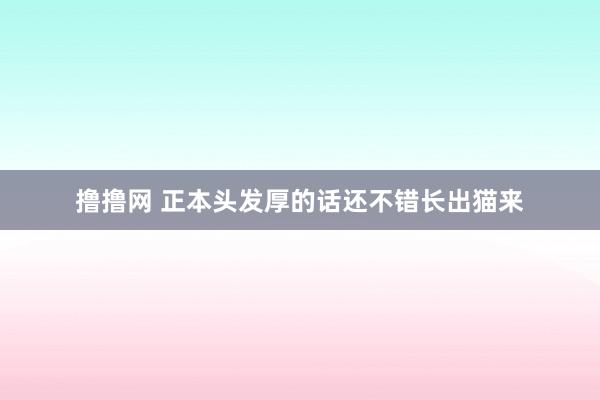 撸撸网 正本头发厚的话还不错长出猫来