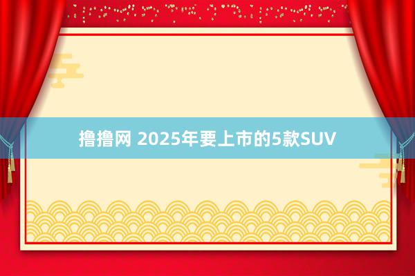 撸撸网 2025年要上市的5款SUV