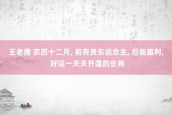 王老撸 农历十二月， 前有贵东说念主， 后能赢利， 好运一天天升温的生肖