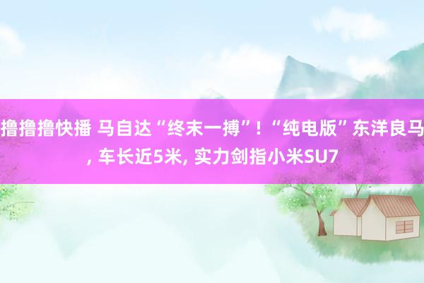 撸撸撸快播 马自达“终末一搏”! “纯电版”东洋良马， 车长近5米， 实力剑指小米SU7