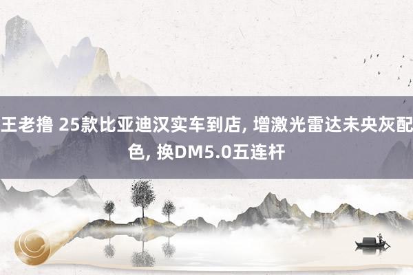 王老撸 25款比亚迪汉实车到店， 增激光雷达未央灰配色， 换DM5.0五连杆