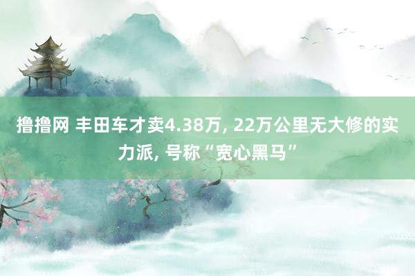 撸撸网 丰田车才卖4.38万， 22万公里无大修的实力派， 号称“宽心黑马”