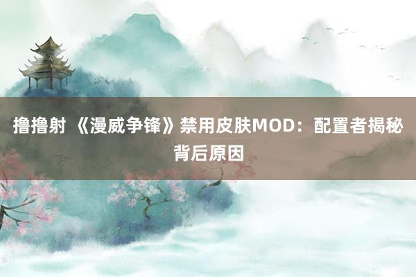 撸撸射 《漫威争锋》禁用皮肤MOD：配置者揭秘背后原因