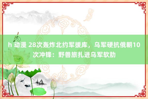 h 动漫 28次轰炸北约军援库，乌军硬抗俄朝10次冲锋：野兽旅扎进乌军软肋