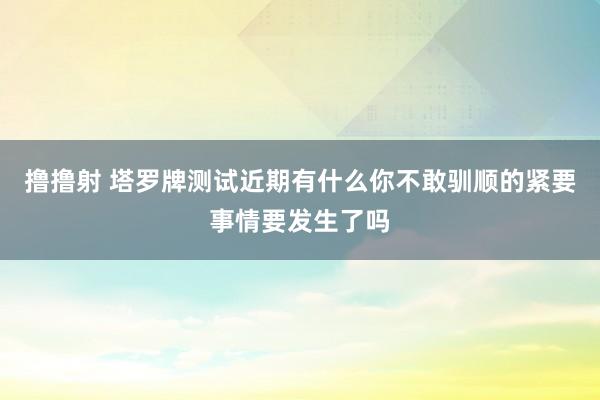 撸撸射 塔罗牌测试近期有什么你不敢驯顺的紧要事情要发生了吗
