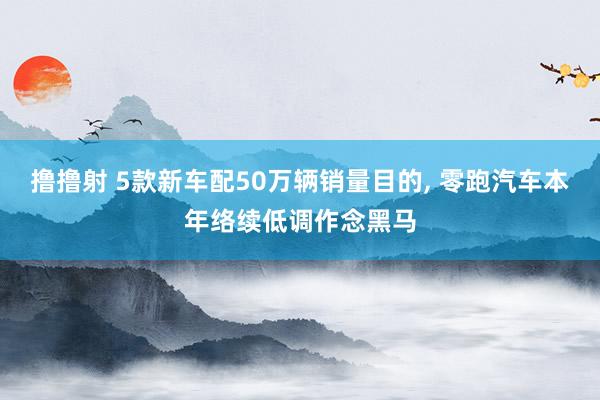 撸撸射 5款新车配50万辆销量目的， 零跑汽车本年络续低调作念黑马