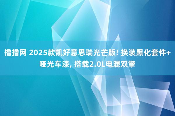 撸撸网 2025款凯好意思瑞光芒版! 换装黑化套件+哑光车漆， 搭载2.0L电混双擎