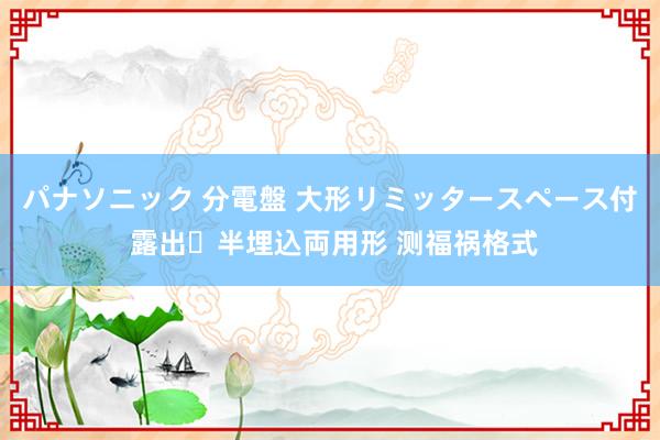パナソニック 分電盤 大形リミッタースペース付 露出・半埋込両用形 测福祸格式