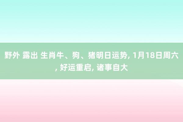 野外 露出 生肖牛、狗、猪明日运势， 1月18日周六， 好运重启， 诸事自大