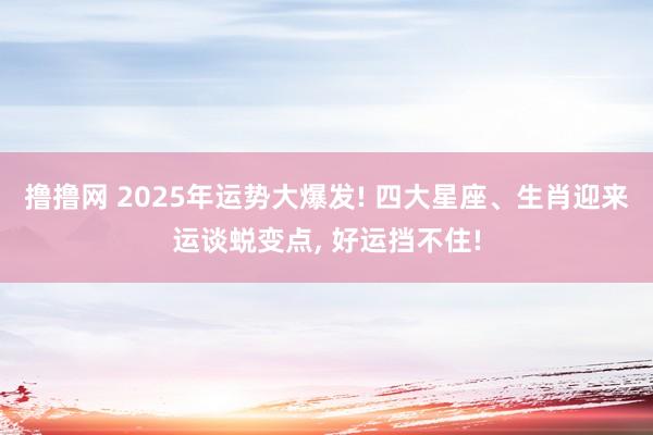 撸撸网 2025年运势大爆发! 四大星座、生肖迎来运谈蜕变点， 好运挡不住!