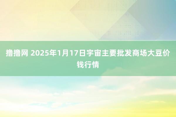 撸撸网 2025年1月17日宇宙主要批发商场大豆价钱行情