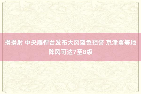 撸撸射 中央雕悍台发布大风蓝色预警 京津冀等地阵风可达7至8级