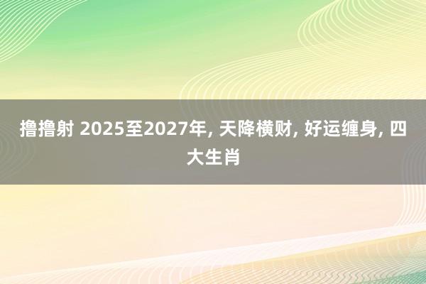 撸撸射 2025至2027年， 天降横财， 好运缠身， 四大生肖