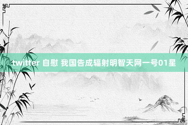 twitter 自慰 我国告成辐射明智天网一号01星