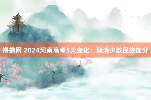 撸撸网 2024河南高考5大变化：取消少数民族加分