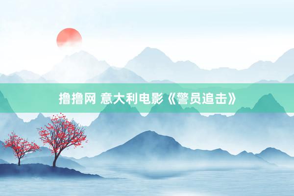 撸撸网 意大利电影《警员追击》