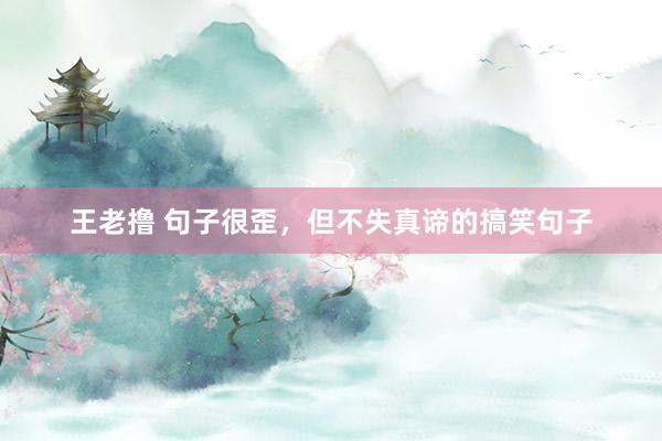 王老撸 句子很歪，但不失真谛的搞笑句子