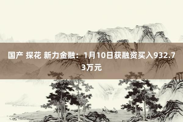 国产 探花 新力金融：1月10日获融资买入932.73万元