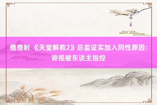 撸撸射 《天堂解救2》总监证实加入同性原因：谛视被东谈主指控