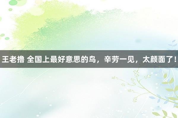 王老撸 全国上最好意思的鸟，辛劳一见，太颜面了！