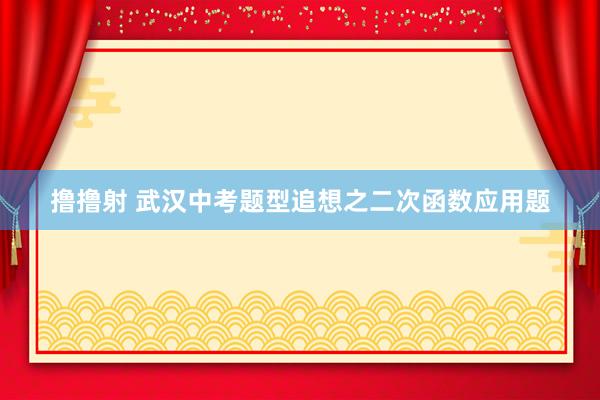 撸撸射 武汉中考题型追想之二次函数应用题