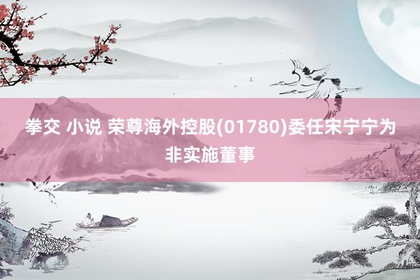拳交 小说 荣尊海外控股(01780)委任宋宁宁为非实施董事