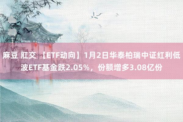 麻豆 肛交 【ETF动向】1月2日华泰柏瑞中证红利低波ETF基金跌2.05%，份额增多3.08亿份